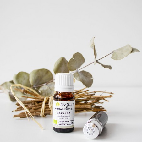 L'huile essentielle d'eucalyptus radié bio pour bien respirer en hiver
