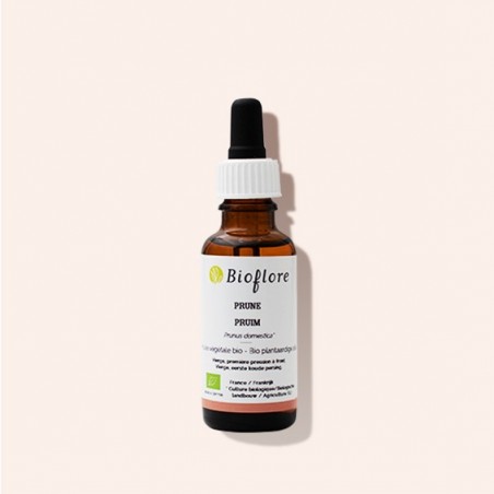 Organic plum vegetable oil, radiance and nutrition for dry skin