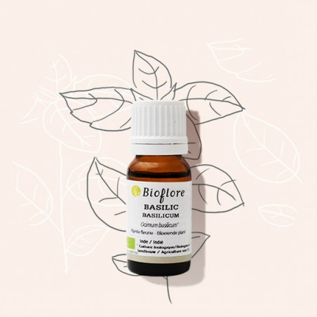 Our organic Basil essential oil to tone the scalp