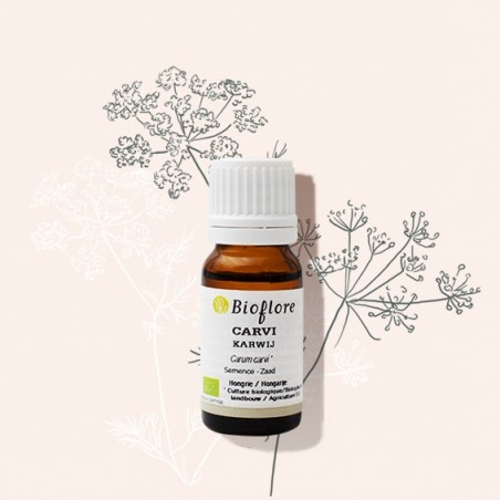 Organic caraway essential oil to prevent bloating and gas