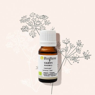 Organic caraway essential oil to prevent bloating and gas