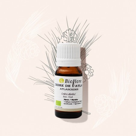 Notre huile essentielle de Cèdre de l'Atlas bio contre la cellulite