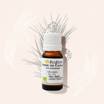 Notre huile essentielle de Cèdre de l'Atlas bio contre la cellulite