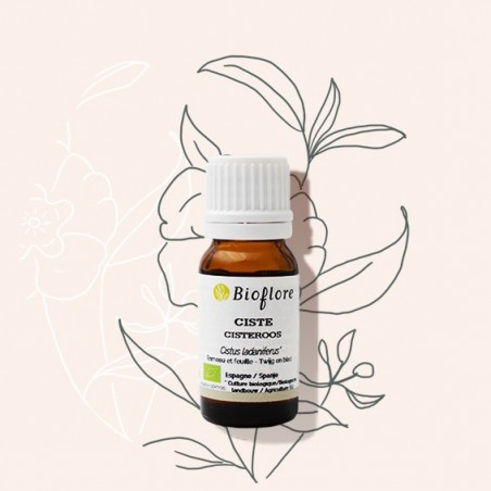 Notre huile essentielle de Ciste Ladanifère bio pour le soin anti-âge