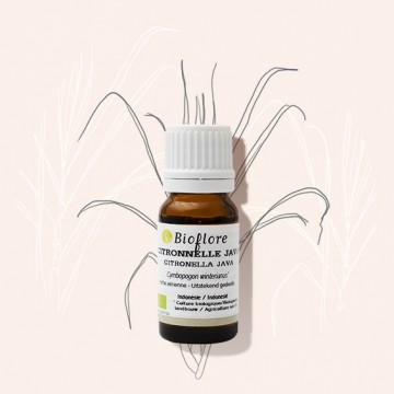L'huile essentielle de citronnelle java bio pour contre les moustiques