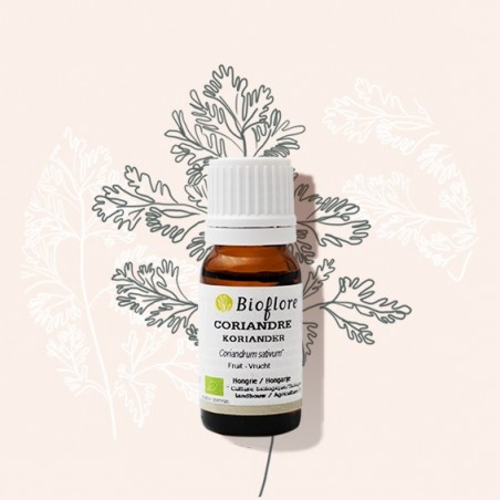 coriandre bio certisys