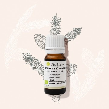 L'huile essentielle d'épinette noire bio en cas de fatigue intense.
