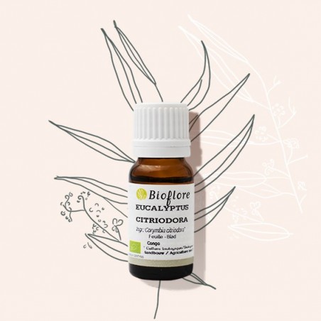 L'huile essentielle d'eucalyptus citronné, l'anti-moustique naturel