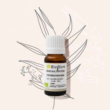 L'huile essentielle d'eucalyptus citronné, l'anti-moustique naturel