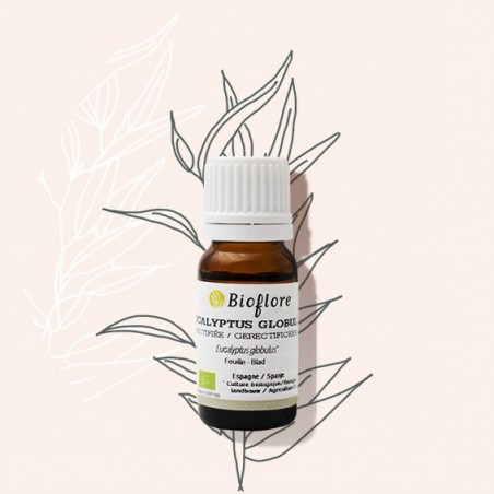 L'huile essentielle d'eucalyptus globulus aide le système respiratoire