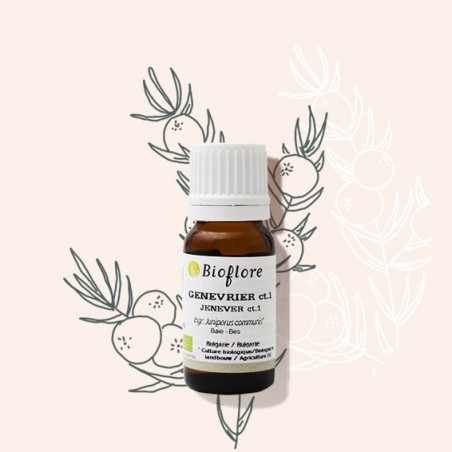 L'huile essentielle de genévier baies pures bio, drainante naturelle