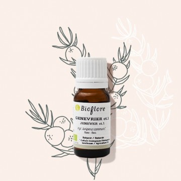 L'huile essentielle de genévier baies pures bio, drainante naturelle