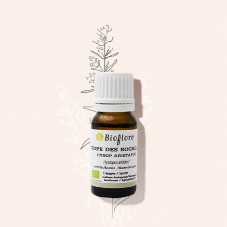 Huile essentielle d'hysope aristée des rocailles bio anti-infectieuse