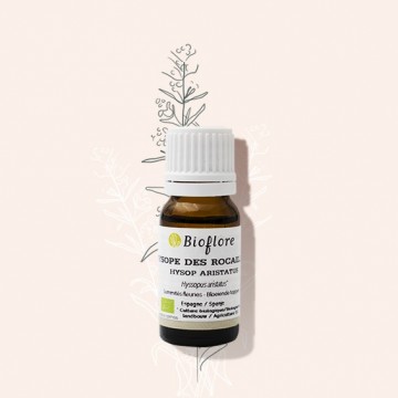 Huile essentielle d'hysope aristée des rocailles bio anti-infectieuse