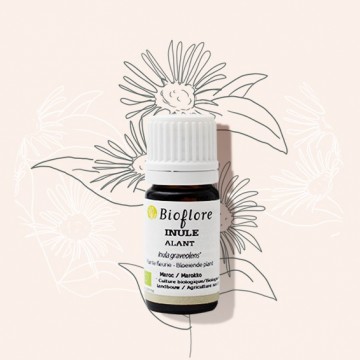 Fragrant inula essential oil relieves respiratory tract