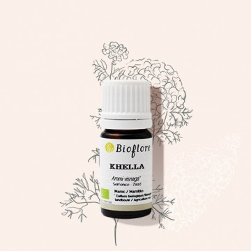 L'huile essentielle de khella bio pour mieux respirer