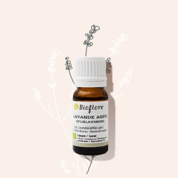 Organic spike lavender essential oil against insect bites