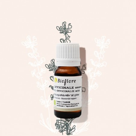 Huile essentielle de Lavande officinale sauvage bio (lavande fine)