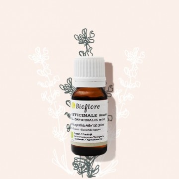Huile essentielle de Lavande officinale sauvage bio (lavande fine)