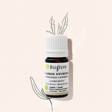 Stoechade lavender organic essential oil - anti-infectious