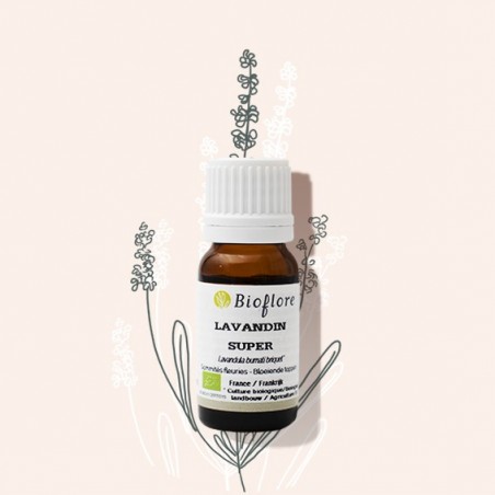 Lavendin essential oil relieves cramps and contractures