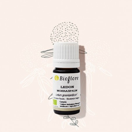 Bog Labrador tea essential oil for liver detox