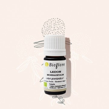 Bog Labrador tea essential oil for liver detox