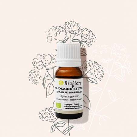 Bio essentiële olie van Spaanse marjolein: past goed bij de winter!