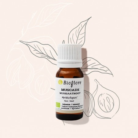 De etherische olie van Muskaatnoot werkt sterk antispasmodisch.