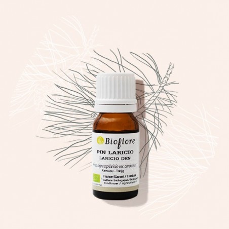 Organic Laricio pine essential oil helps to stop smoking
