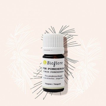 Organic Ponderosa Pine essential oil to calm asthma