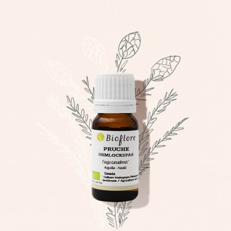 L'huile essentielle de pruche contre les affections respiratoires