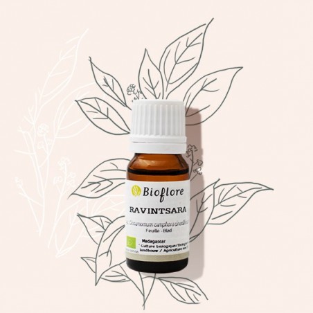 Essentiële olie van bio ravintsara: natuurlijk antivirus in de winter!