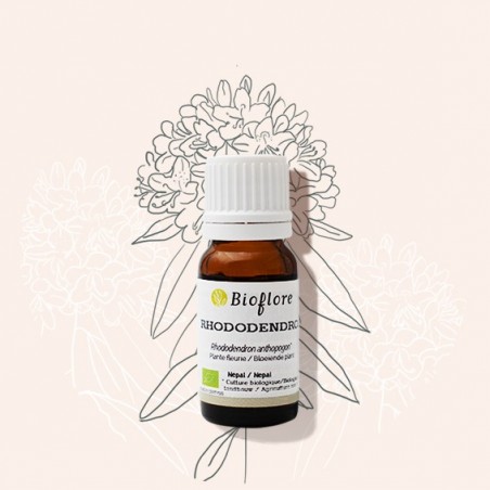 Etherische olie van bio Rhododendron voor meditatie