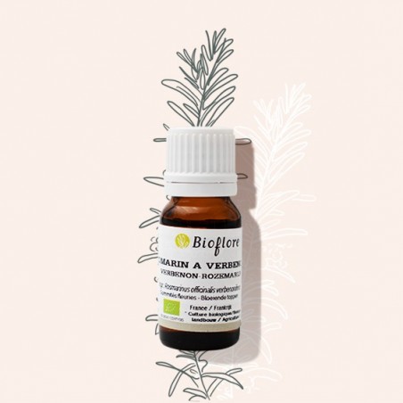 L'huile essentielle de romarin à verbénone bio, pour la détox