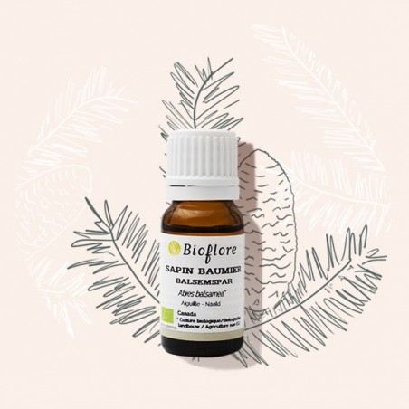 Organic balsam fir essential oil oxygenates and sanitizes