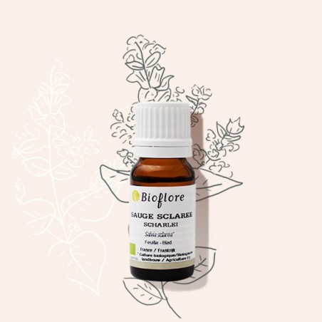 Huile essentielle de sauge sclarée bio, une féminine en puissance !