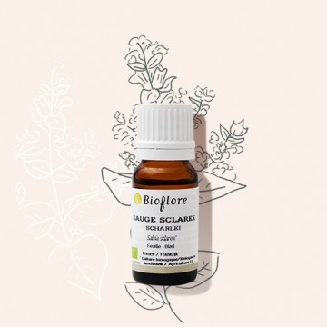 Huile essentielle de sauge sclarée bio, une féminine en puissance !