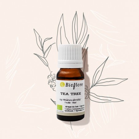 Etherische olie van bio Tea tree uit Afrika: zuiveren en ontsmetten