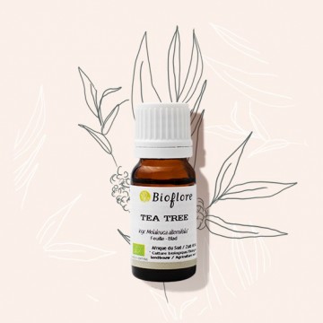 Etherische olie van bio Tea tree uit Afrika: zuiveren en ontsmetten