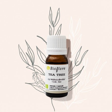 L'huile essentielle de Tea tree bio : l'essentielle en aromathérapie