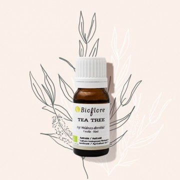 L'huile essentielle de Tea tree bio : l'essentielle en aromathérapie