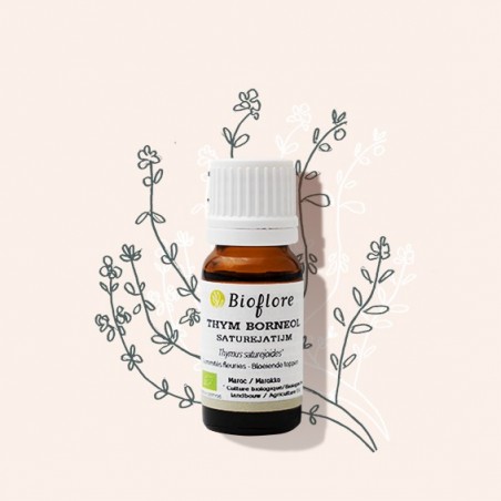 Huile essentielle de thym bornéol bio, l'anti-infectieuse hivernale