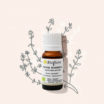 Huile essentielle de thym bornéol bio, l'anti-infectieuse hivernale