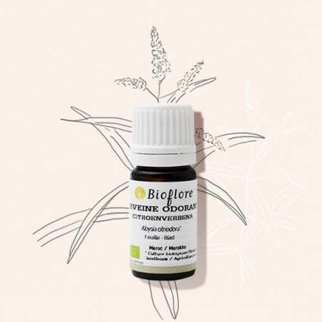 Organic lemon verbena essential oil is anti-inflammatory