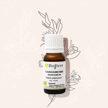 L'huile essentielle de Cardamome bio : digestive et respiratoire