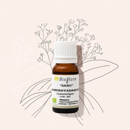 L'huile essentielle de saro bio pour soutenir l'immunité