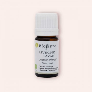 Etherische olie van Lavas zuivert lever en nieren, uw detox-partner!