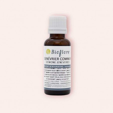Macérat de bourgeons de Genévrier Bio - Bioflore