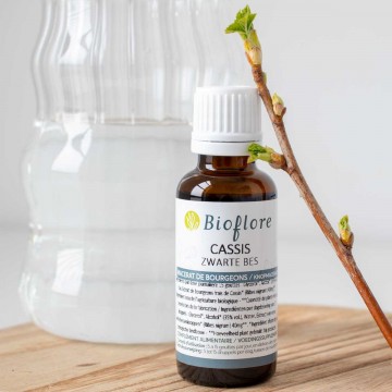 Zwarte bes knop maceraat biologisch - Bioflore